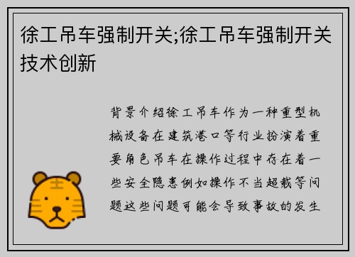 徐工吊车强制开关;徐工吊车强制开关技术创新