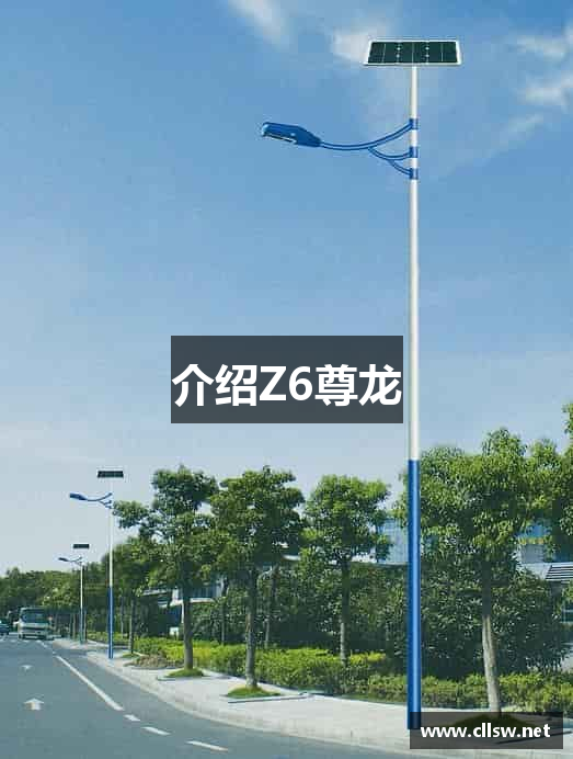 介绍Z6尊龙